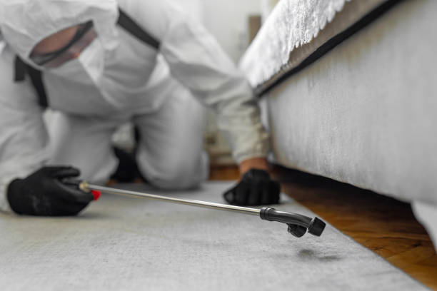 Professional Bed Bug Control technician working in Leland Grove, IL