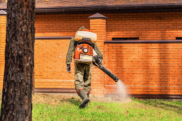 Trusted Ant Control service in Leland Grove, IL - Nex Pest Control
